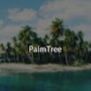 Meet your Posher, Palm